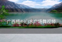 广西梧州山水广场舞视频