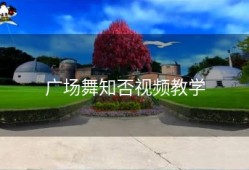 广场舞知否视频教学