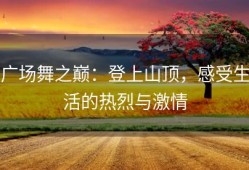 广场舞之巅：登上山顶，感受生活的热烈与激情