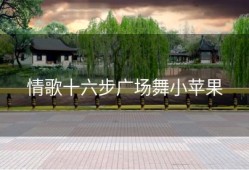 情歌十六步广场舞小苹果