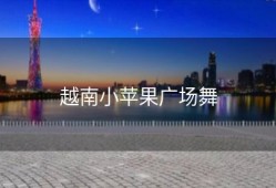 越南小苹果广场舞