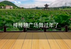 棒棒糖广场舞过年了