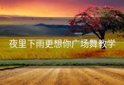 夜里下雨更想你广场舞教学