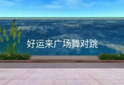 好运来广场舞对跳