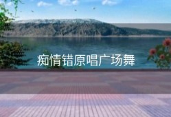 痴情错原唱广场舞