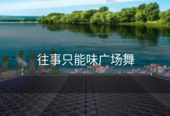 往事只能味广场舞