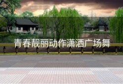 青春靓丽动作潇洒广场舞