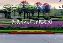 光头小伙广场舞视频