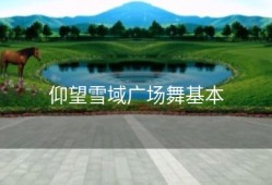 仰望雪域广场舞基本