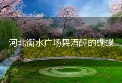 河北衡水广场舞酒醉的蝴蝶