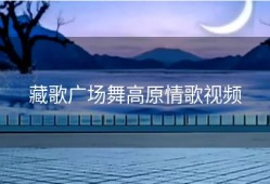 藏歌广场舞高原情歌视频