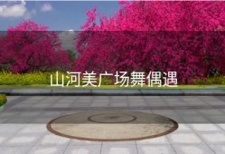 山河美广场舞偶遇