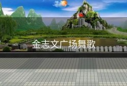 金志文广场舞歌