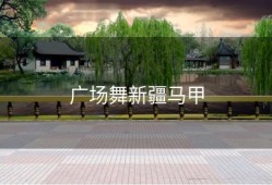 广场舞新疆马甲