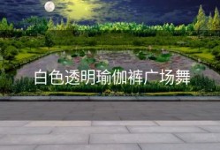 白色透明瑜伽裤广场舞