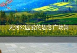 天河公园爱的思念广场舞