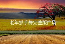 老年抓手舞完整版广场