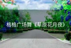 格格广场舞《草原花月夜》