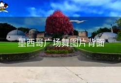 墨西哥广场舞图片背面