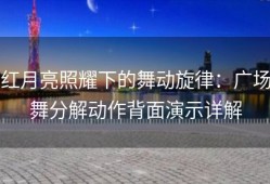 红月亮照耀下的舞动旋律：广场舞分解动作背面演示详解