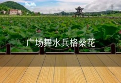 广场舞水兵格桑花