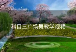科目三广场舞教学视频