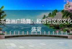 茶盘洲广场舞：和谐社区的文化盛宴
