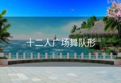 十二人广场舞队形