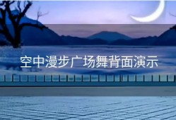 空中漫步广场舞背面演示