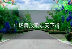 广场舞放歌走天下dj