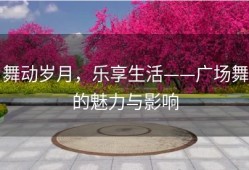 舞动岁月，乐享生活——广场舞的魅力与影响