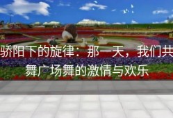 骄阳下的旋律：那一天，我们共舞广场舞的激情与欢乐
