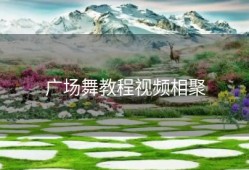 广场舞教程视频相聚