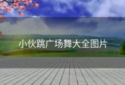 小伙跳广场舞大全图片