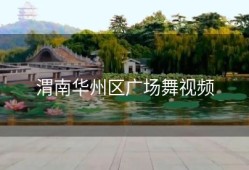 渭南华州区广场舞视频