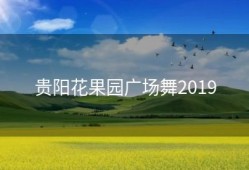 贵阳花果园广场舞2019