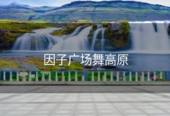 因子广场舞高原