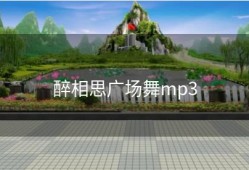 醉相思广场舞mp3