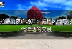 拉萨雨夜广场舞：藏地风情与时代律动的交融