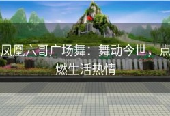 凤凰六哥广场舞：舞动今世，点燃生活热情
