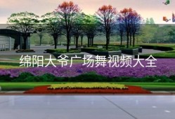 绵阳大爷广场舞视频大全