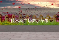 佳木斯广场舞小苹果