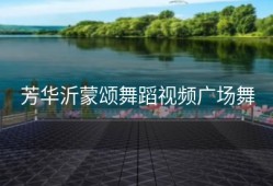芳华沂蒙颂舞蹈视频广场舞