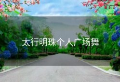 太行明珠个人广场舞
