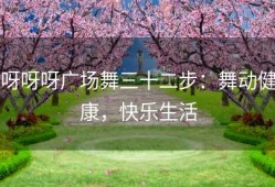 呀呀呀广场舞三十二步：舞动健康，快乐生活