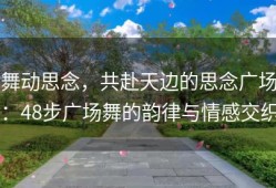 舞动思念，共赴天边的思念广场：48步广场舞的韵律与情感交织
