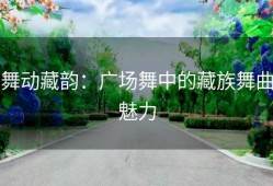 舞动藏韵：广场舞中的藏族舞曲魅力