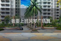 我要上班风琴广场舞