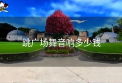 跳广场舞音响多少钱
