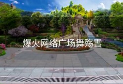 爆火网络广场舞殇雪